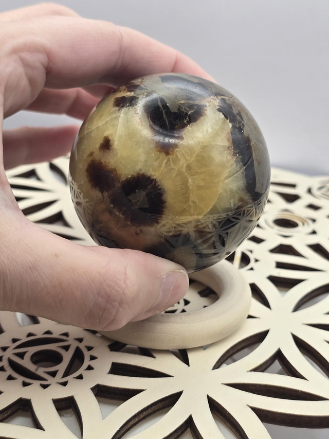 Septaria forme sphère