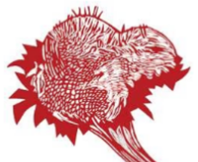 Carte motif Méduse Bleu ciel