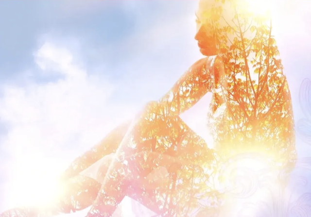 Reclaim Your Radiance Programme