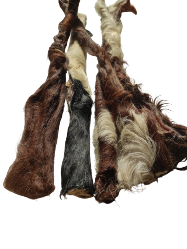 PEAU DE BOEUF AVEC POILS 50CM