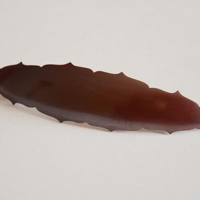 Barette grande  sans gravure