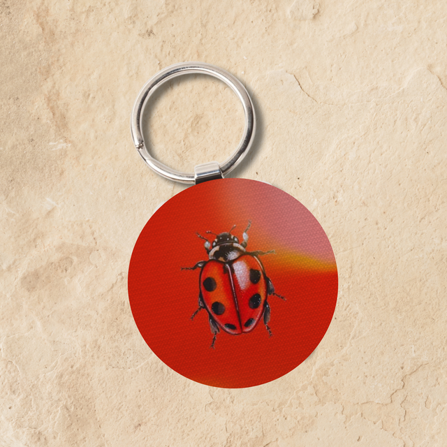 Porte clés en cuir - Coccinelle