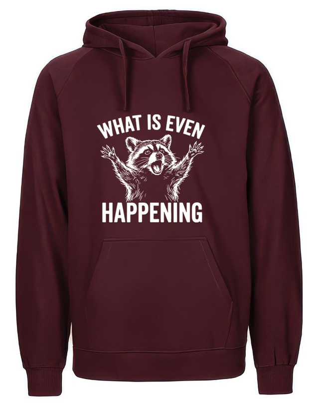 Hoodie - What is even happening