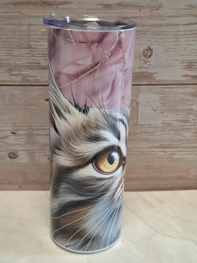 Gourde canette Maine coon