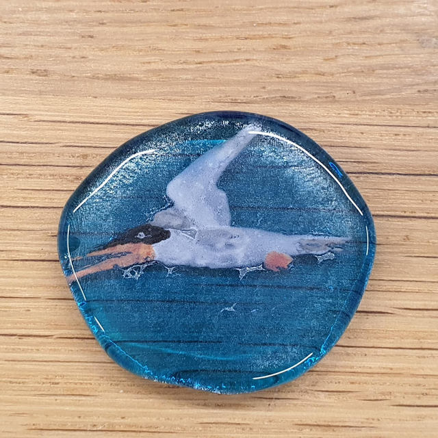 Tern glass enamel badge 