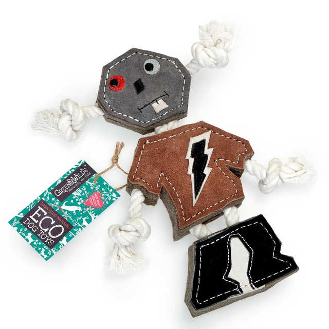 Eco-Friendly Rob the Robot