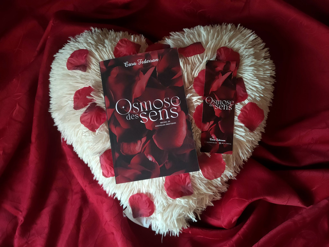 Osmose des sens