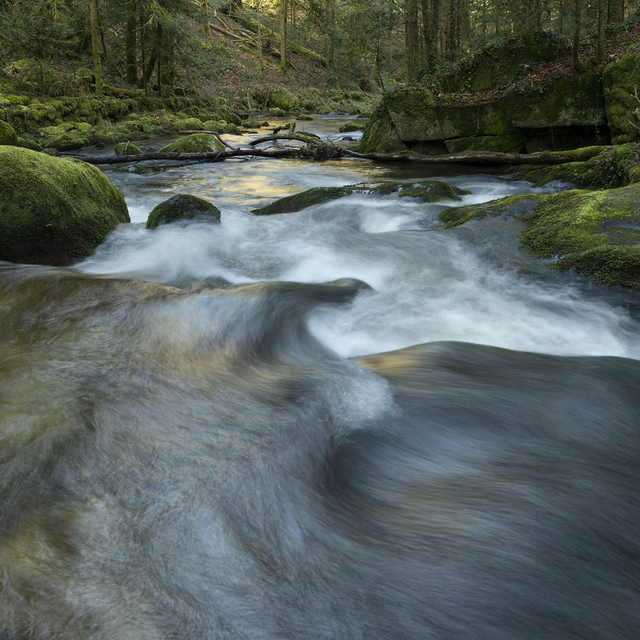 Stromschnellen im Bach bei Geroldsau