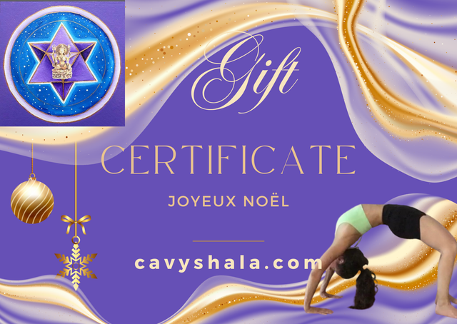 Cours privé pour 1 personne, 1h30 de yoga au shala ou en visio 