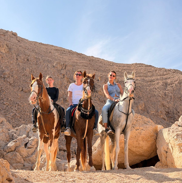 Horse riding in mountains + sea + swim with horse + meal