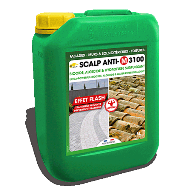 PROMO SCALP ANTI-M 3100 Fongicide + Hydrofuge 2 en 1