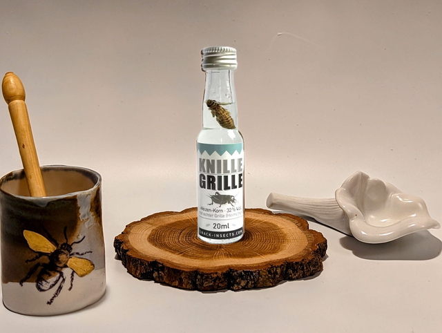 Bouteille de KORN Grillon  20ml