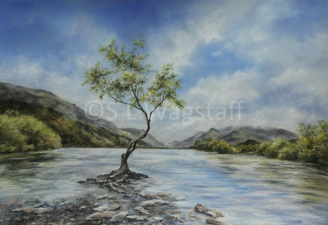 Llyn Padarn &amp; the Lonely Tree