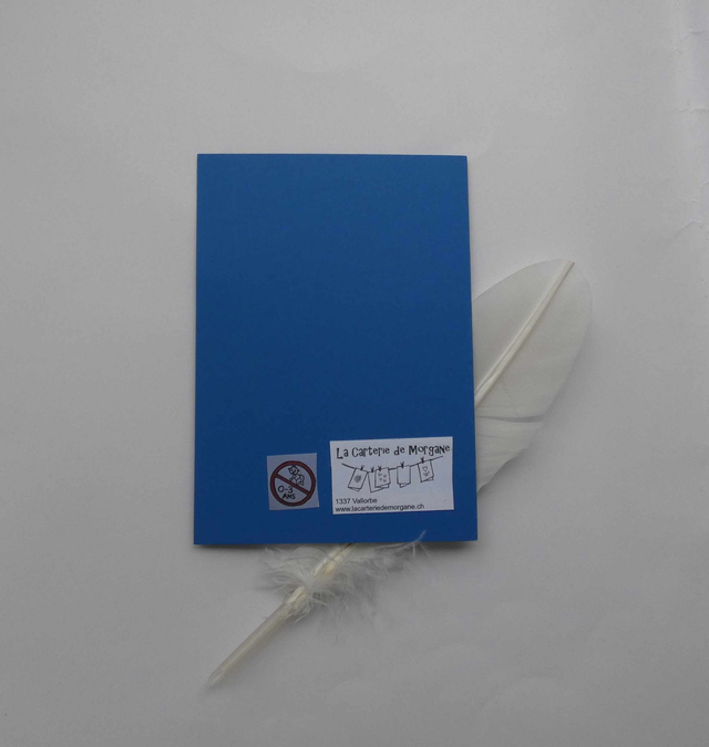 Une bonne année en musique avec ce pingouin