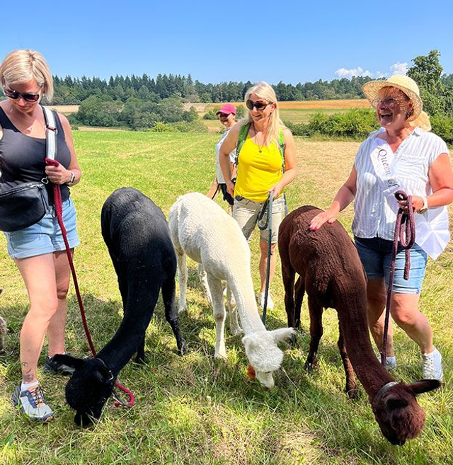 Golden Moments-Tour für 3-5 Erwachsene (geschl. Gruppe)