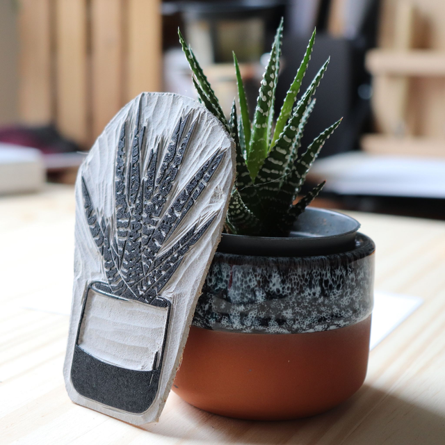 Linogravure A6 Haworthia
