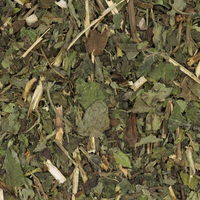 Citroenmelisse (lemon balm) (Melissa officinalis) - BIO
