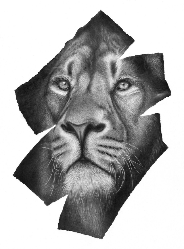 Lioni III Limited Edition Print