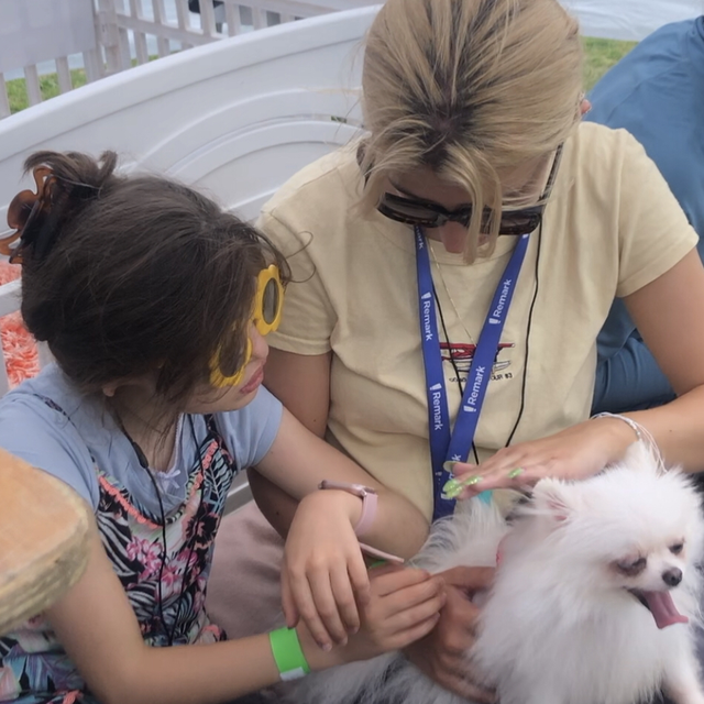 Treat Our Therapy Dogs