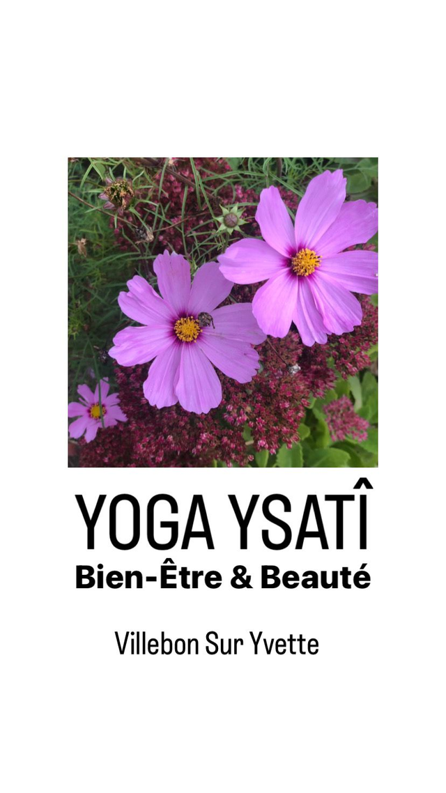 1 Cours de Yoga Entreprise - 1h00