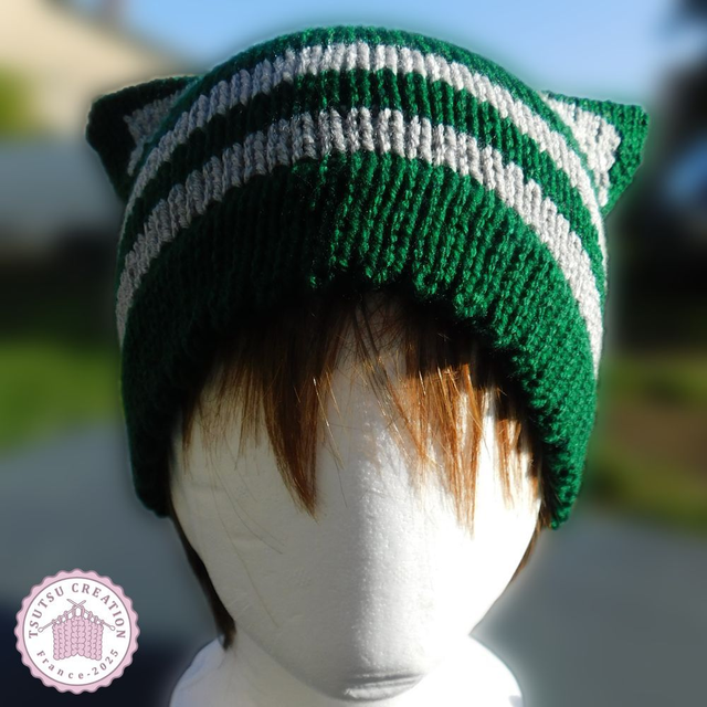 Bonnet chat Vert et Gris