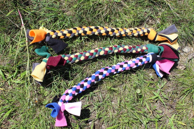 Scoubidou long pour chien - Jouet d'interaction