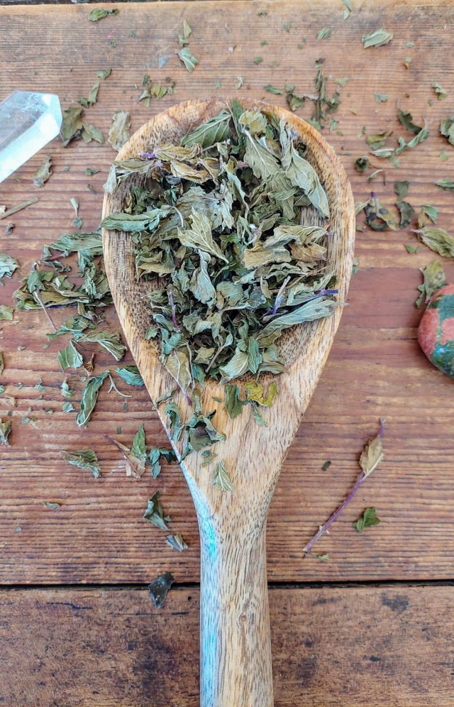 Crazy Mint (tisane d'été)