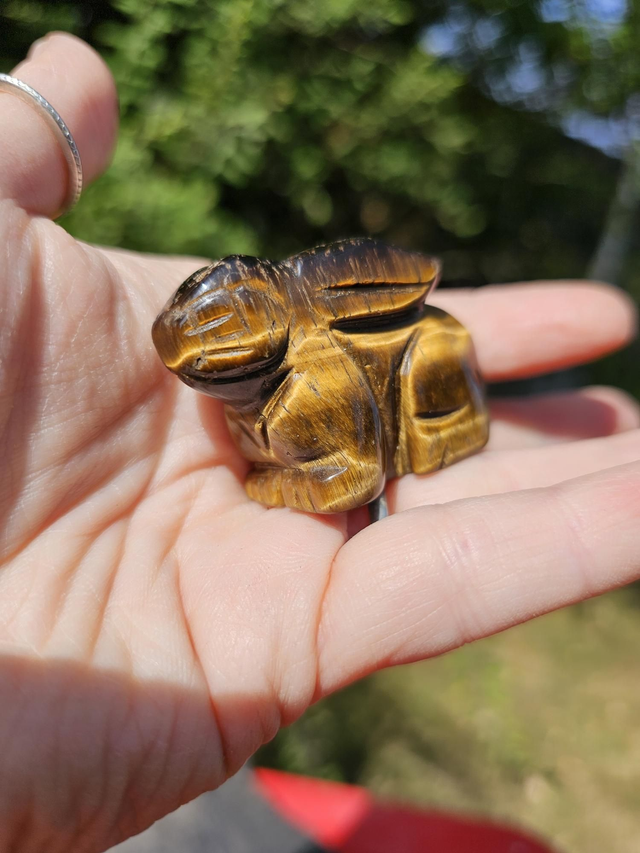 Tigers eye rabbit bunny carving 