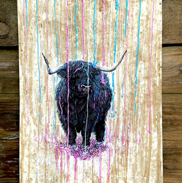 Hamish in neon rain