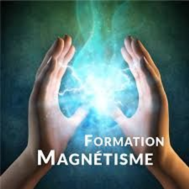 Formation Magnétisme 1 degré
