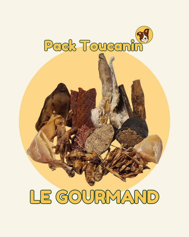 Pack &quot;GOURMAND&quot; mastication