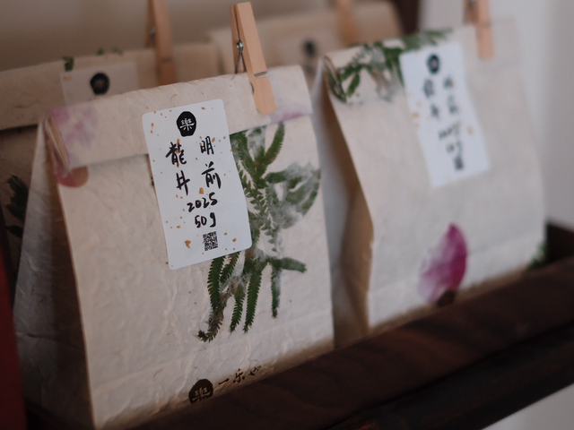 头采明前龙井2025 1e cueillette Ming qian Long Jing 2025