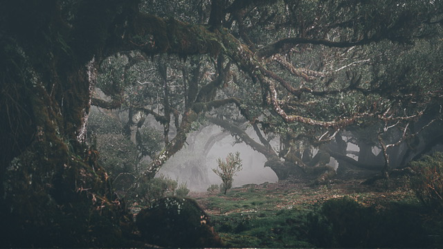 Everything reminds me of you