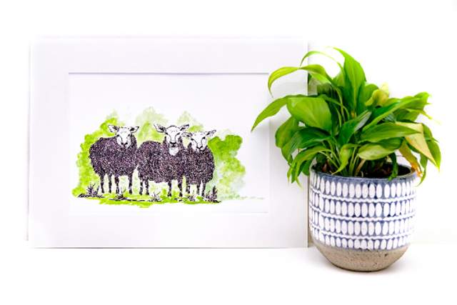 Sheep Print ink and Watercolor Giclée Fine Art Print