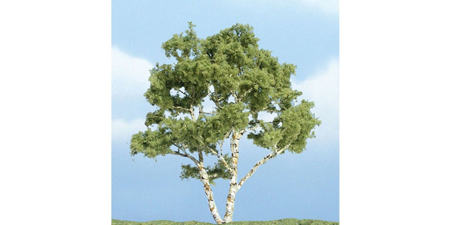 bouleau 9,8cm woodland scenics TR1601