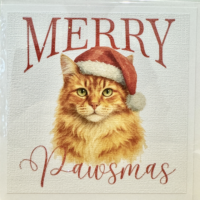 Ginger Tabby Cat Pawsmas Card