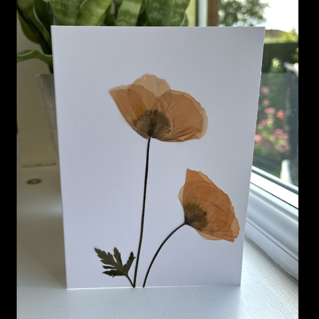 Poppies Greeting card