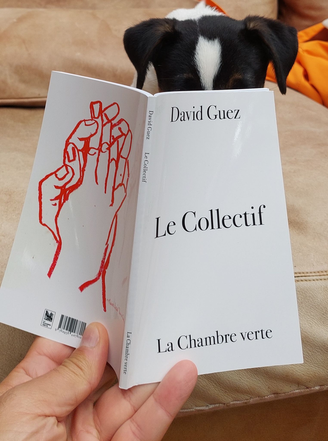 Le collectif - David Guez - 2ème tirage version augmentée