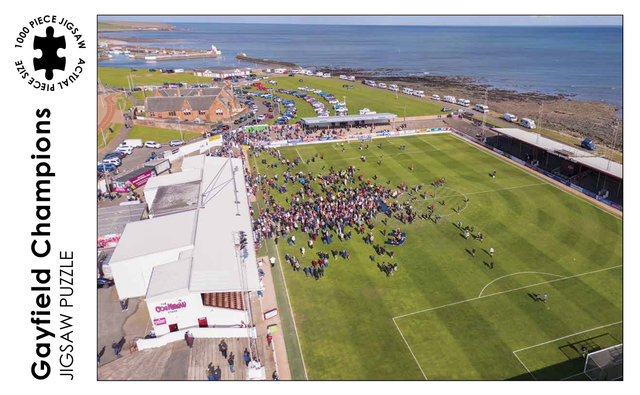 Gayfield Champions! 1000 piece jigsaw puzzle 