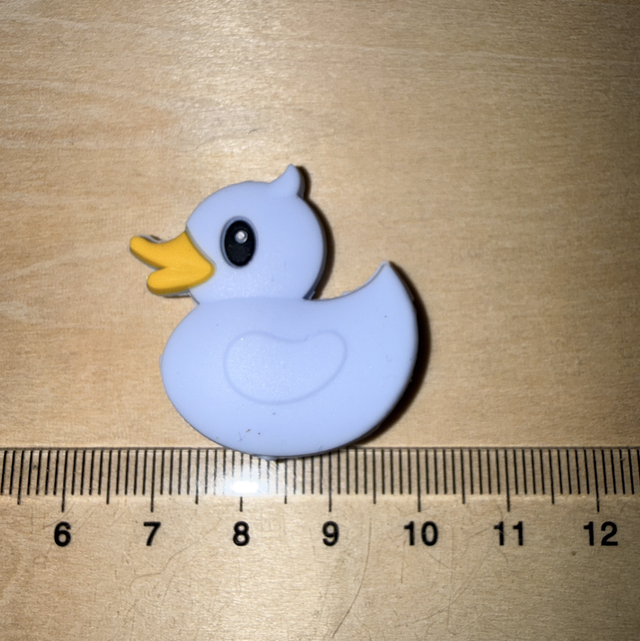 Canard 