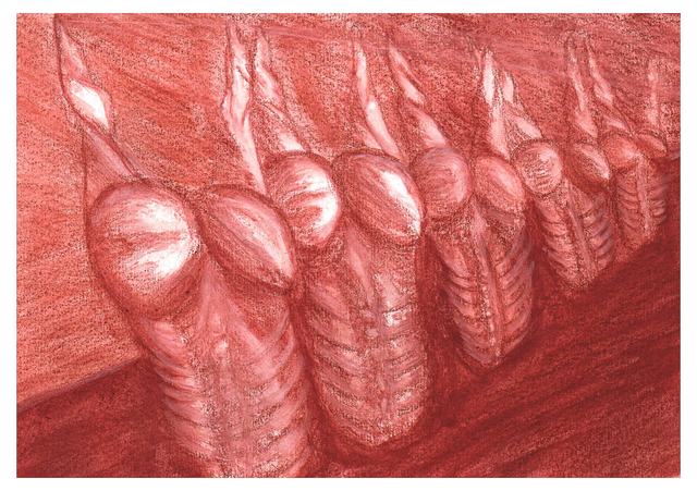 Croquis d'après Uncarné_18, "Carcasses" sanguine