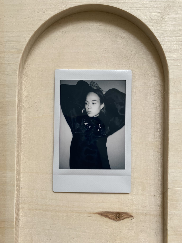 Dead Birds & Lionheart Instant Photo 6.