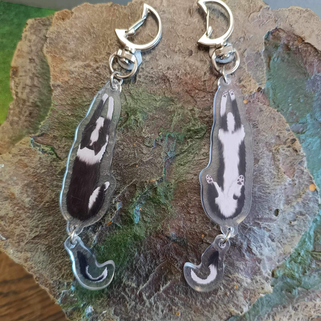 Porte clé border collie