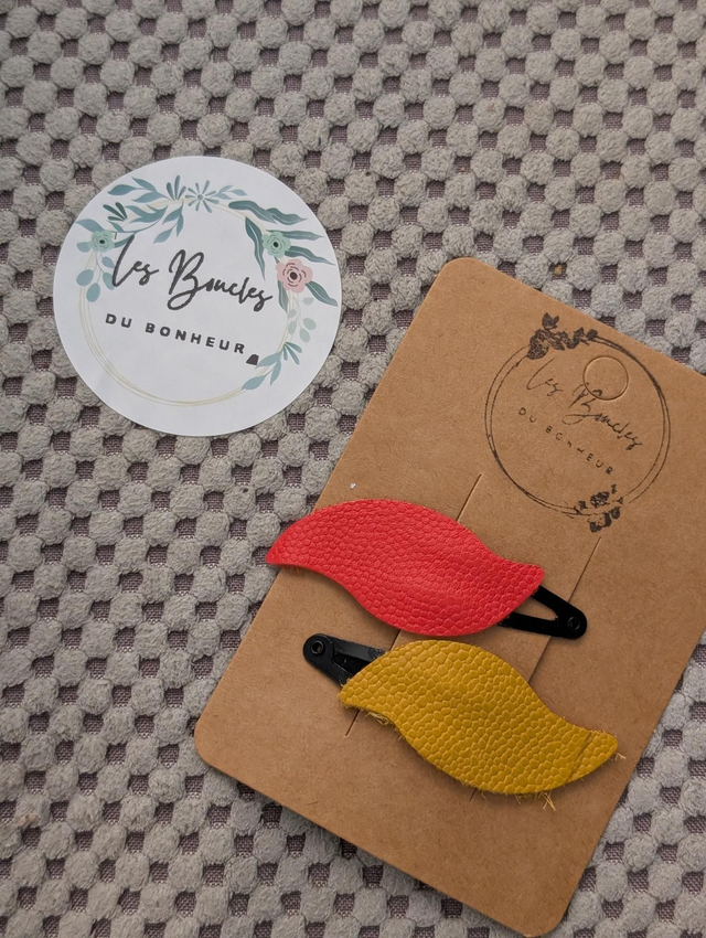 Barrette b073