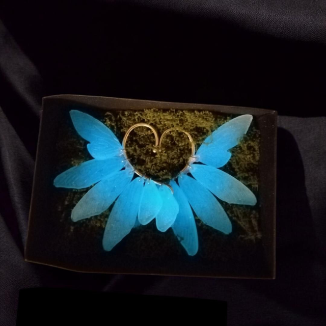 Korvakäädyt pari / Ear cuffs pair