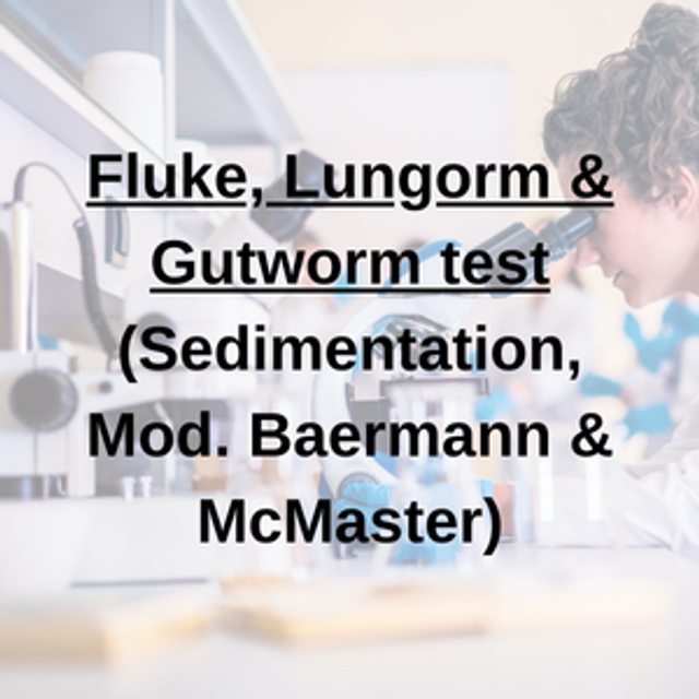 Fluke, Lungworm &amp; Gutworm Test