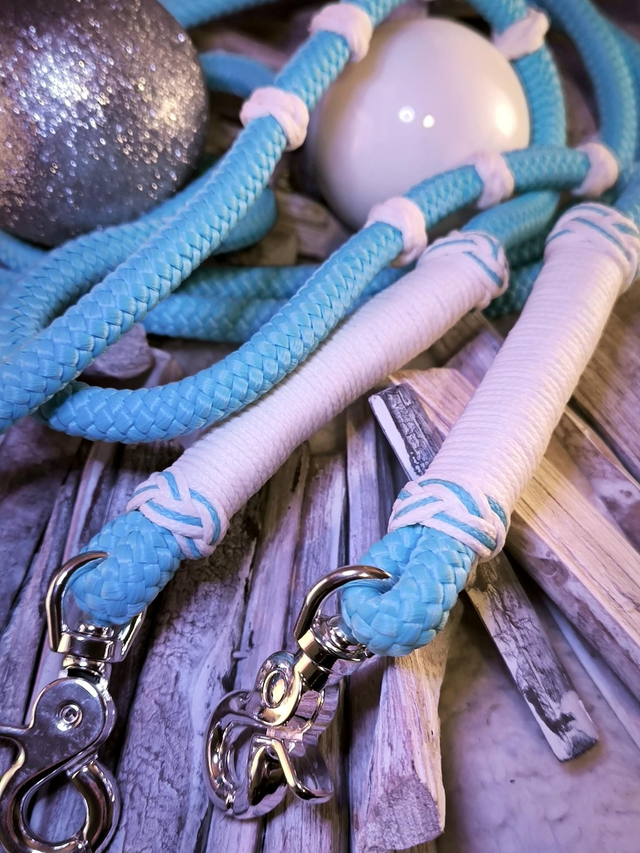 ❄️ Rênes fines "Arctique"