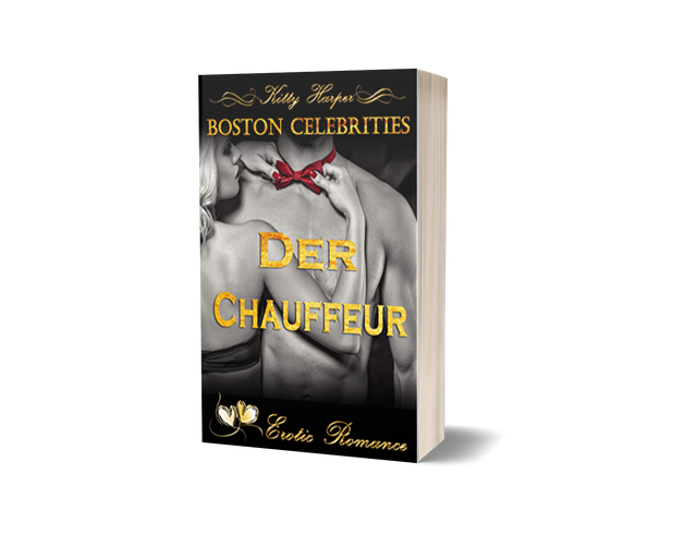 Der Chauffeuer: Ein indiskreter Auftrag