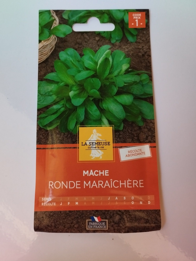 Mâche Ronde maraichère