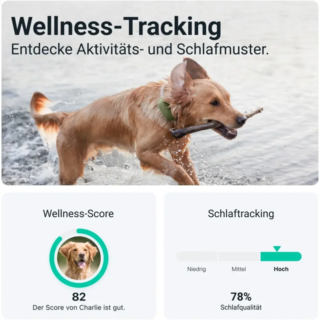 Tractive GPS DOG XL /+ 18 KG - green